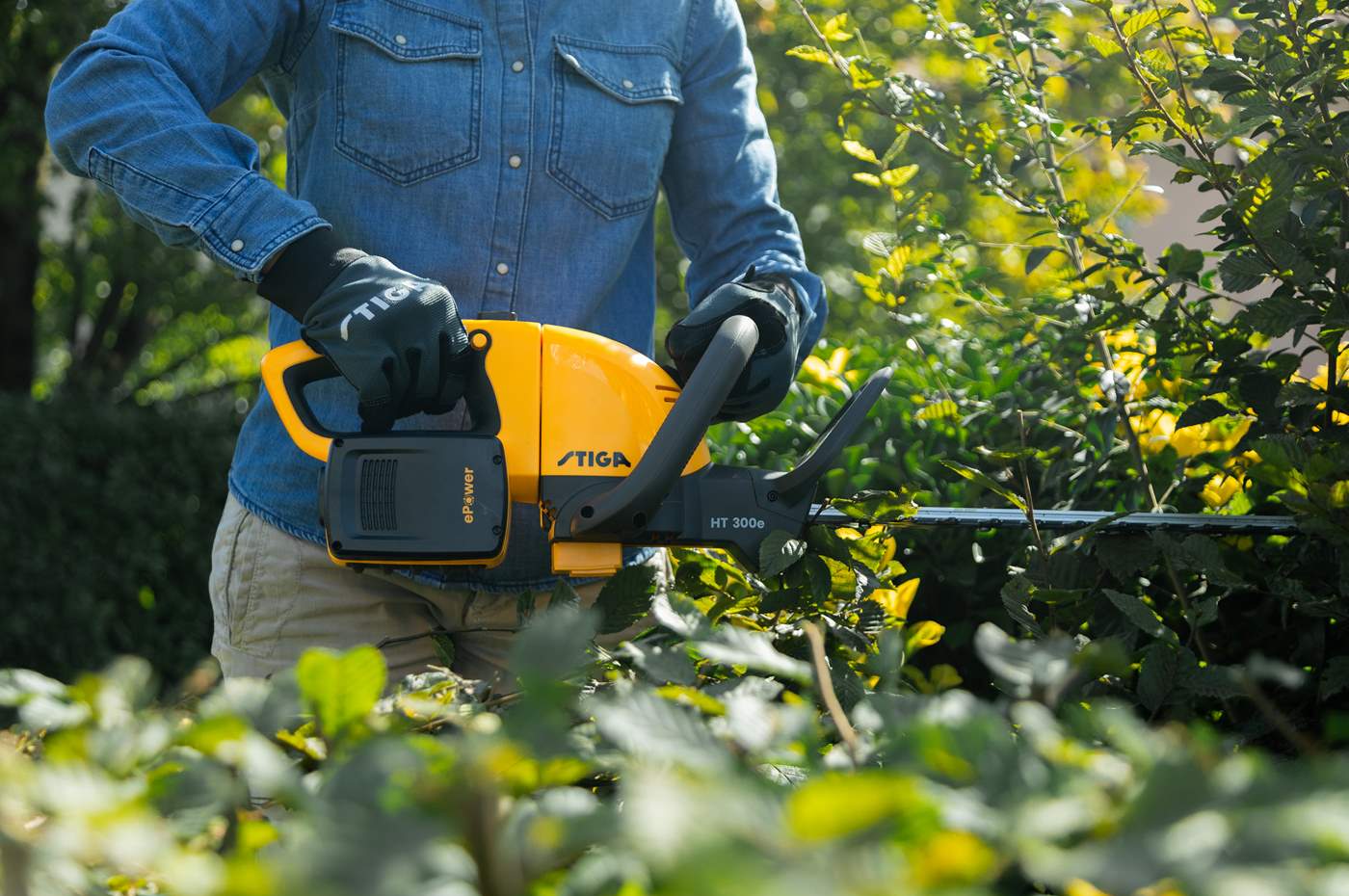 Ilustracja produktu